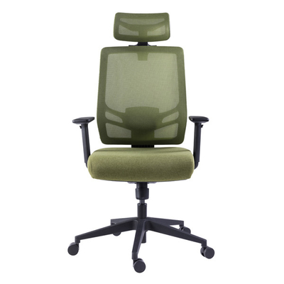 Ergonomic Project Office Chair High Back Green Mesh Rolling