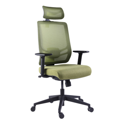 Ergonomic Project Office Chair High Back Green Mesh Rolling